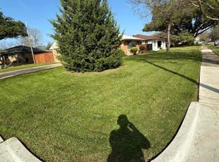 George G.'s turf maintenance service result