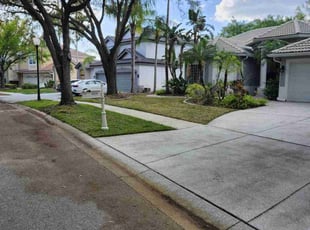Kathy T.'s Leaf Removal service result
