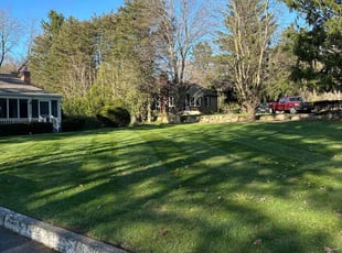 Daniel L.'s grass maintenance service result