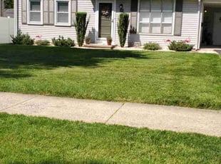 John B.'s grass cutting service result