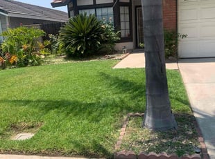 Jeffrey D.'s lawn maintenance service result