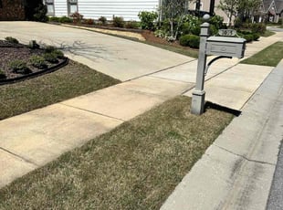 Erica F.'s yard work service result