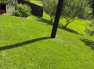 Joyce M.'s turf maintenance service result