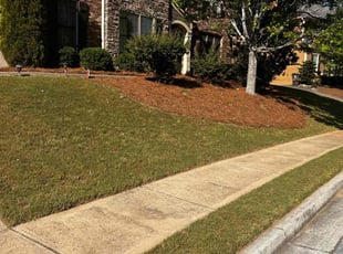 Alethea B.'s lawn care service result