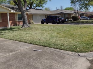 Deborah A.'s lawn maintenance service result