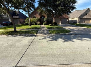 Aaron G.'s lawn care service result