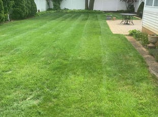 Margaret W.'s turf care service result
