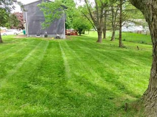 Michael M.'s yard service service result