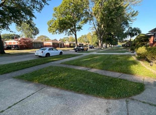 Ken N.'s lawn maintenance service result