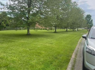 Dawn H.'s turf maintenance service result
