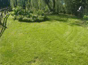 Donna A.'s lawn care service result