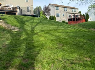 Lynda A.'s grass cutting service result