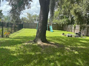 Jeremy W.'s yard maintenance service result
