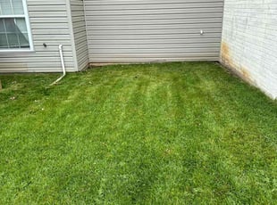 Anthony G.'s lawn maintenance service result