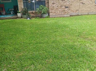 Tew B.'s lawn maintenance service result