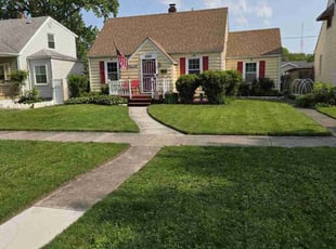 Demetrius D.'s lawn care service result