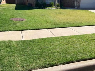 Moneka W.'s lawn maintenance service result