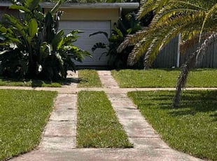 Jacquelyn S.'s grass cutting service result