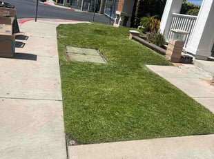Angela T.'s lawn care service result