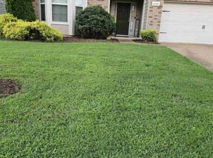 Raymond F.'s turf care service result