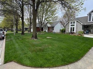 Florentino F.'s turf care service result