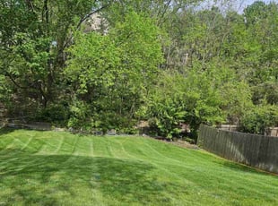 Denise M.'s lawn maintenance service result