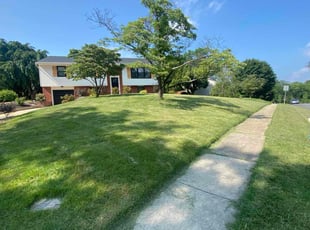 Bill W.'s lawn care services service result