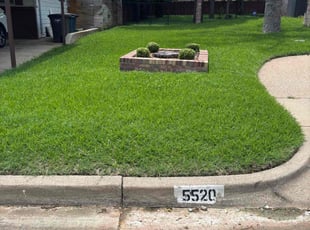 Yadira G.'s turf care service result
