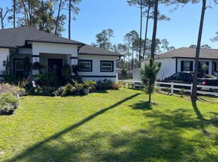 Amado E.'s lawn care service result
