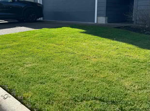 James P.'s lawn maintenance service result