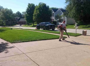 Tyler G.'s grass cutting service result