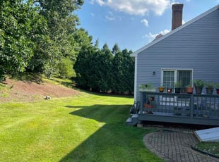 Leo M.'s turf care service result