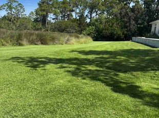 Lisa S.'s lawn care service result