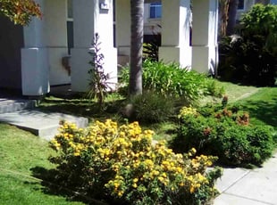 Sierra H.'s lawn care service result