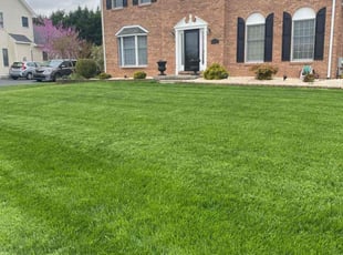 Patricia C.'s lawn care services service result