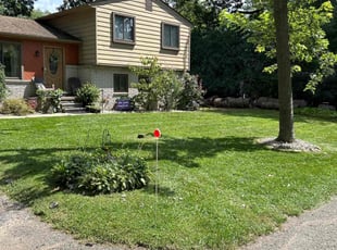 Deanna A.'s lawn service service result