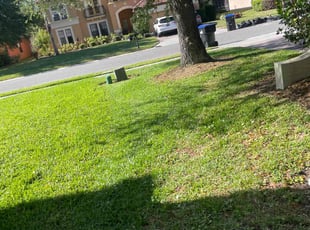 Caitlin B.'s lawn maintenance service result