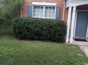 Celeste P.'s Bush Trimming service result