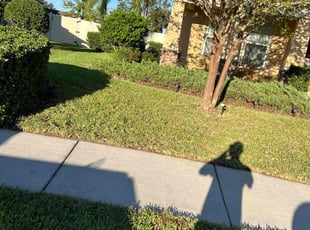Shelia B.'s lawn care service result
