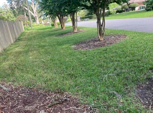 Scott S.'s lawn service service result