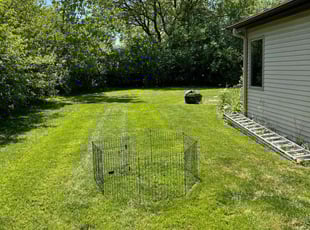 Gabriel M.'s turf maintenance service result