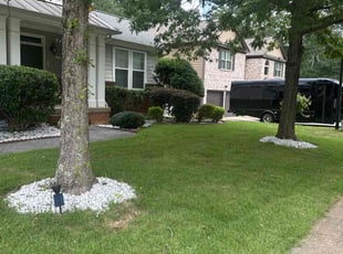 Micheal K.'s Bush Trimming service result