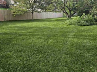 Rachel T.'s lawn maintenance service result
