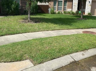 Kara T.'s lawn maintenance service result