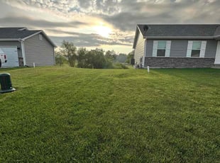 Cheryl W.'s lawn care service result