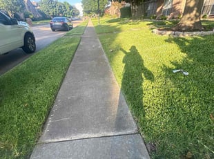 Lyle C.'s Long Grass Cleanup service result