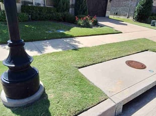 Patricia K.'s lawn service service result