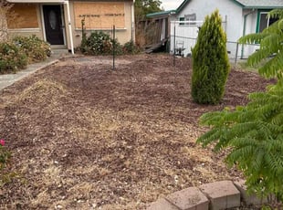 Olu A.'s grass cutting service result