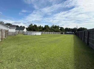 Masrur P.'s grass cutting service result