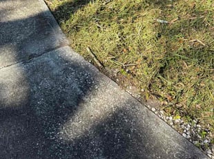 Sheri K.'s lawn care services service result